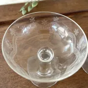 Champagne glasses coupe glasses set of 2 etched floral design crystal
