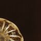 Clear Murano glass bowl with gold powder, 20th century