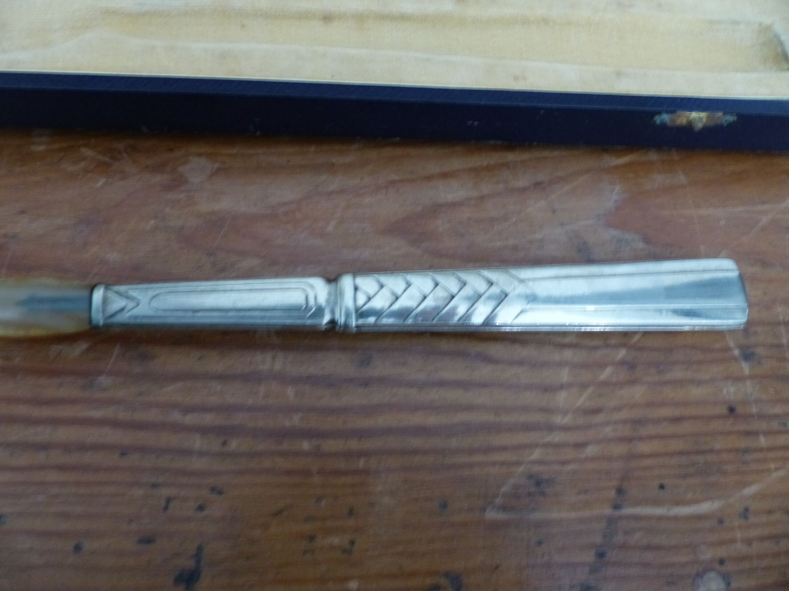 Cutlery with horn and metal-silver salad