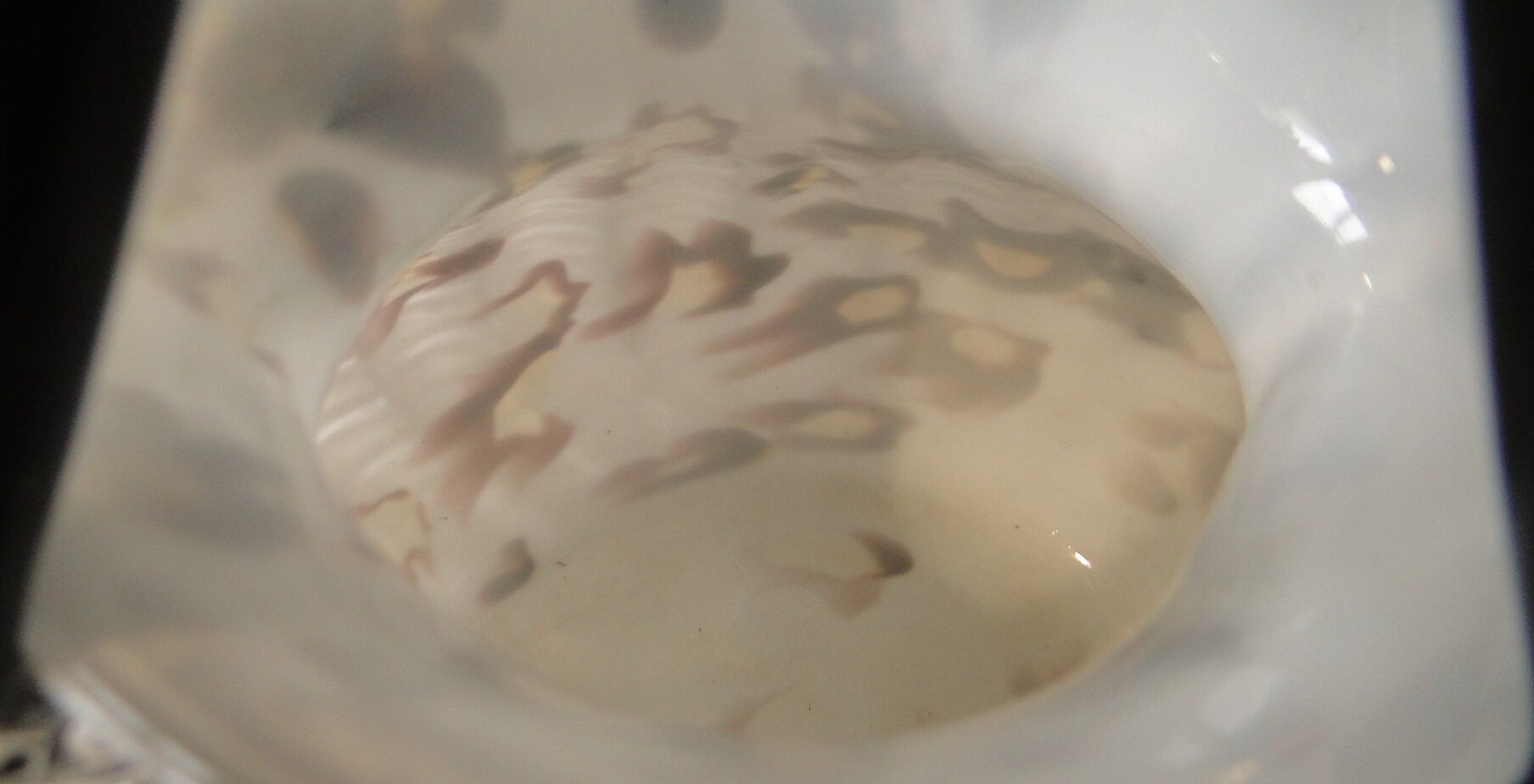 handbag basket vase hand blown Murano glass