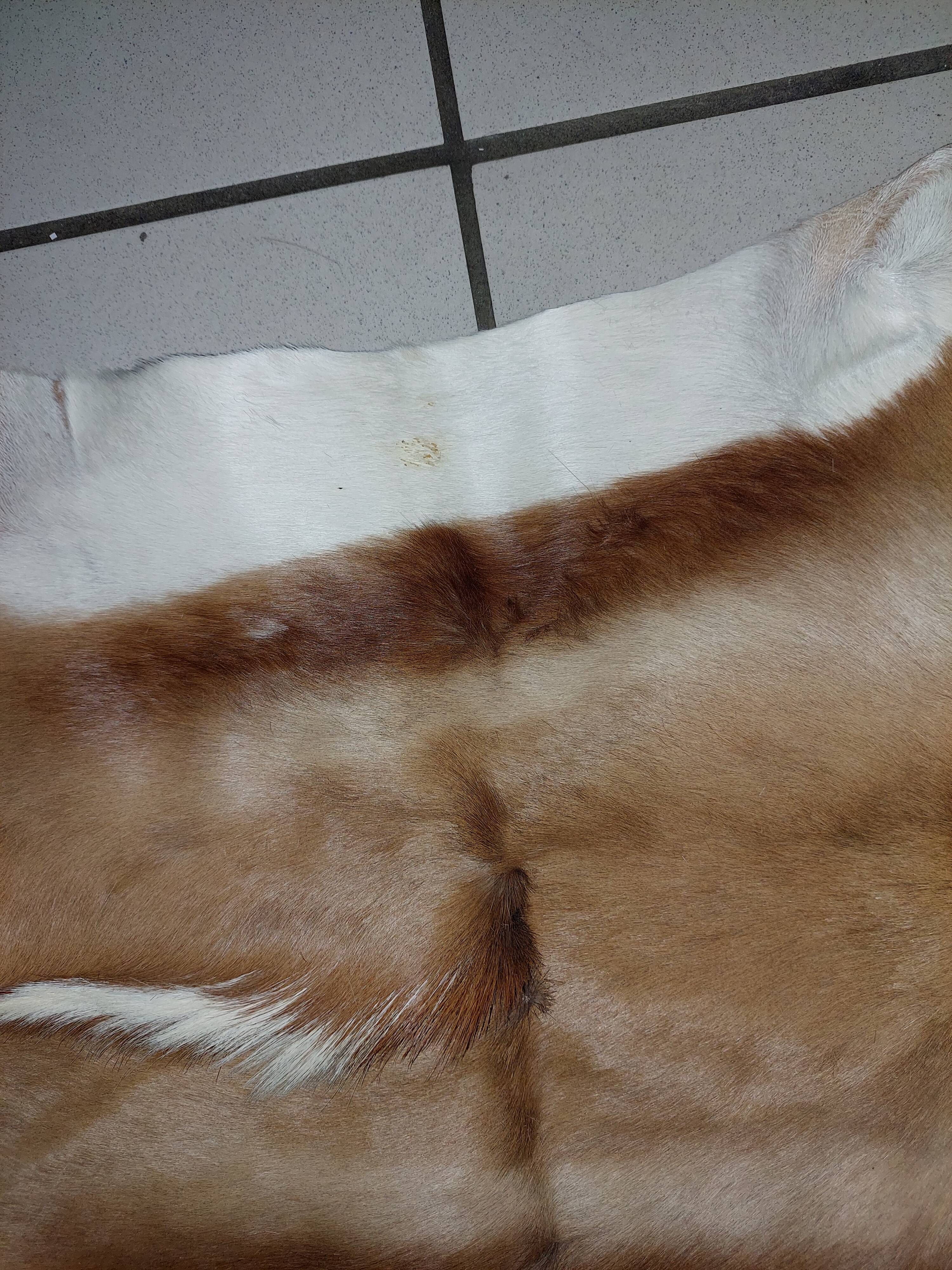 Used natural African animal skin rug (70x100cm)