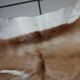 Used natural African animal skin rug (70x100cm)