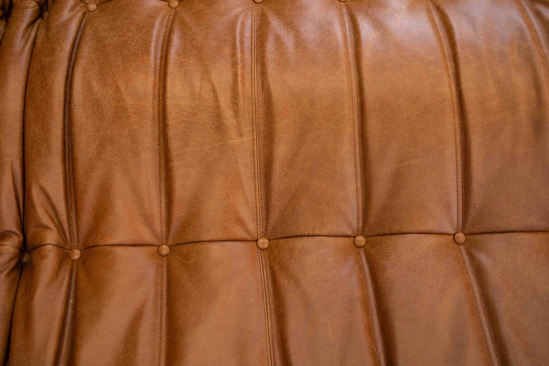 Togo chaise lounge in pine leather by Michel Ducaroy for Ligne Roset, 1974