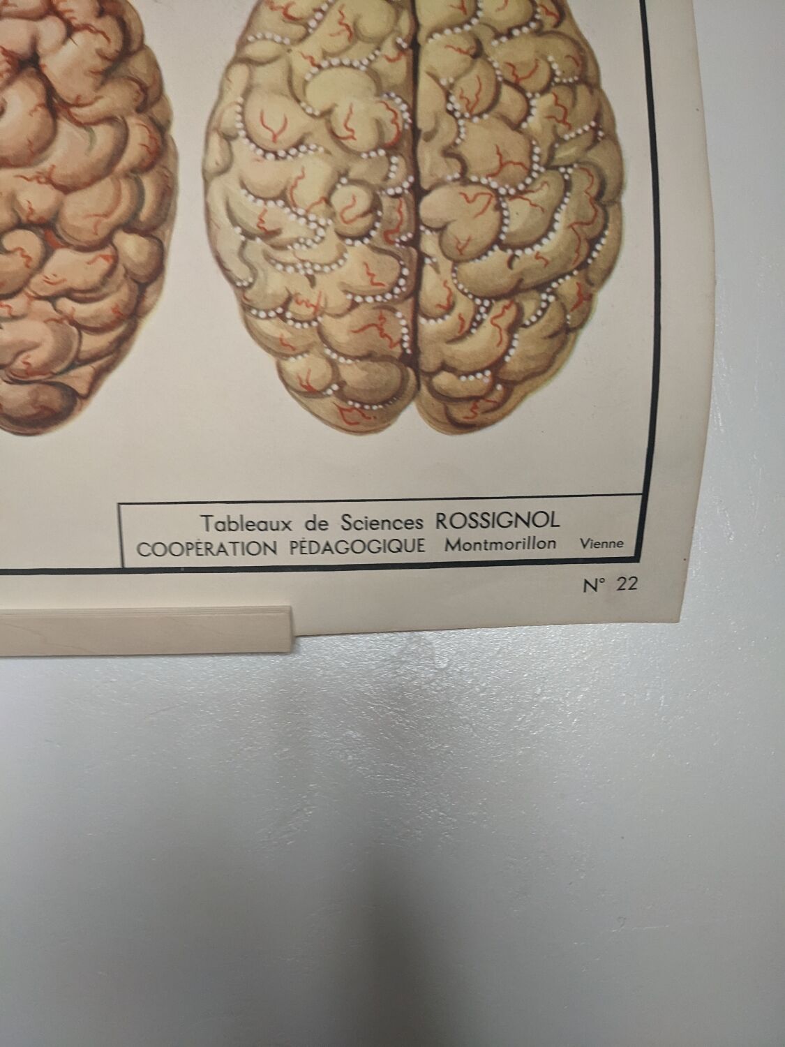 Rossignol alcoholism school poster