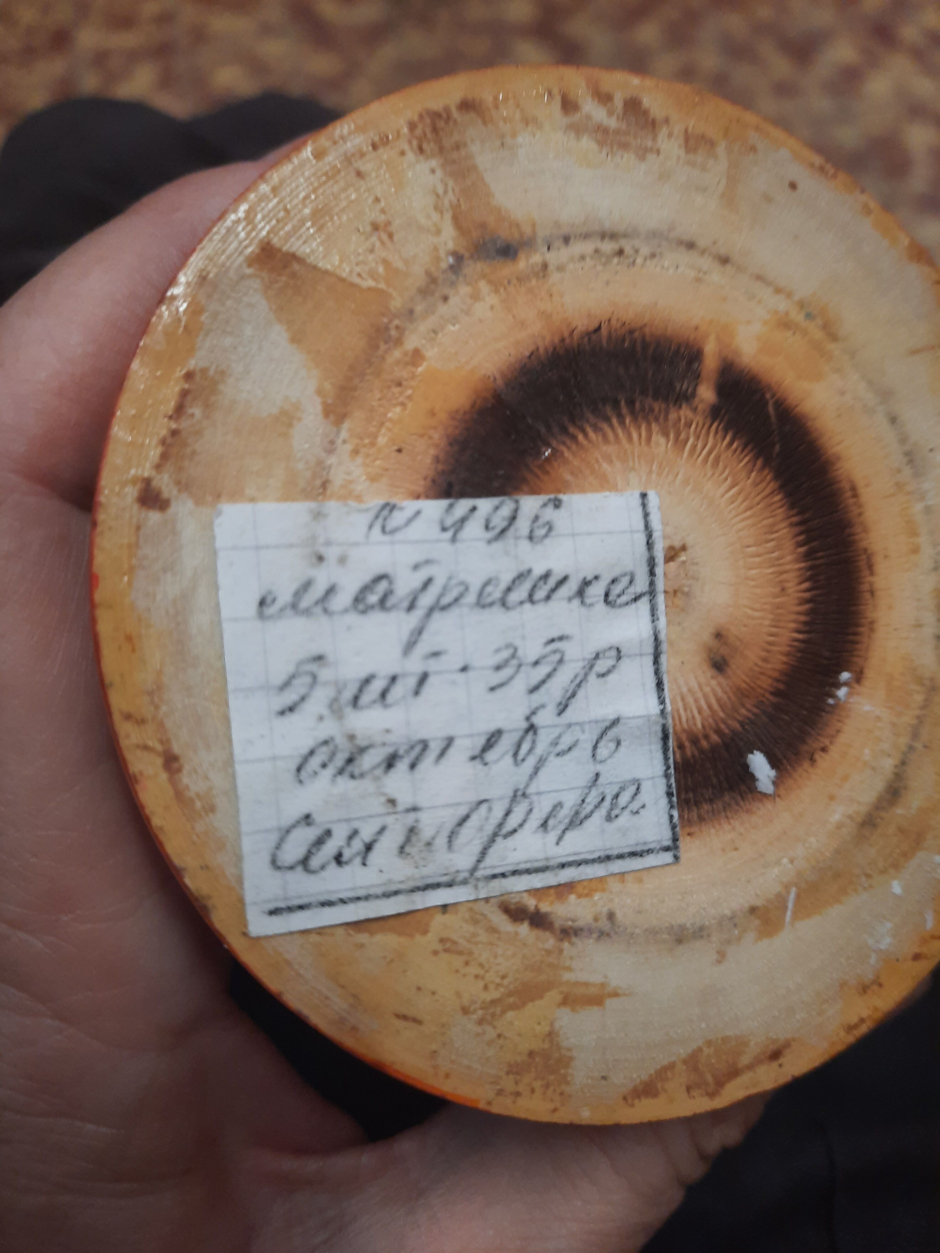 Russian dolls Matryoshka