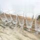 6 crystal champagne flutes from Cristal D'Arques, Louvre model.