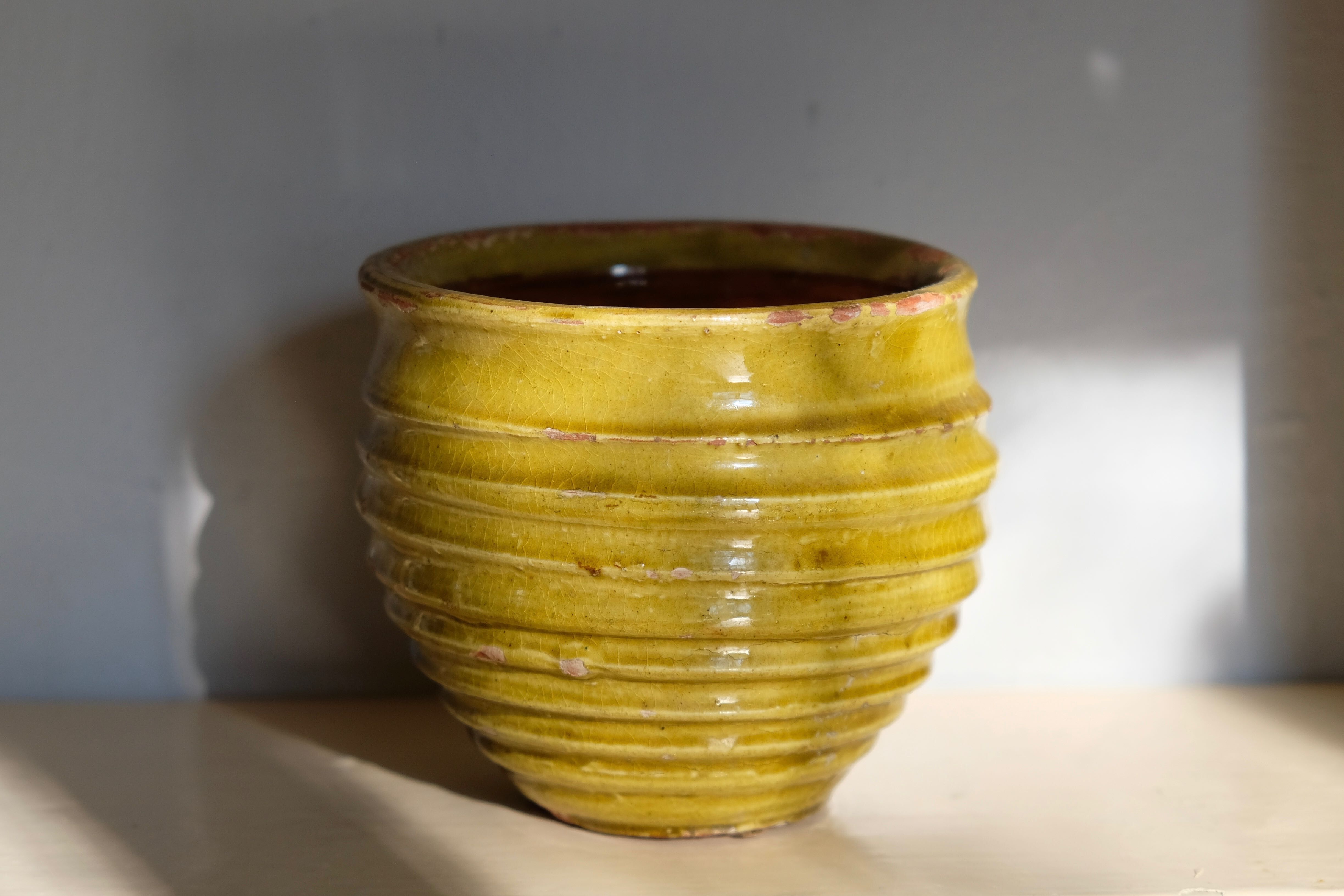 Pot of Provence in glazed terracotta