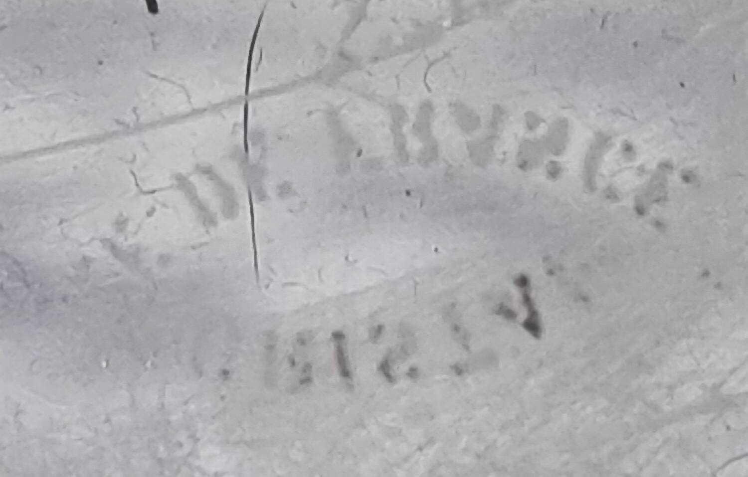 Crystal champagne bucket