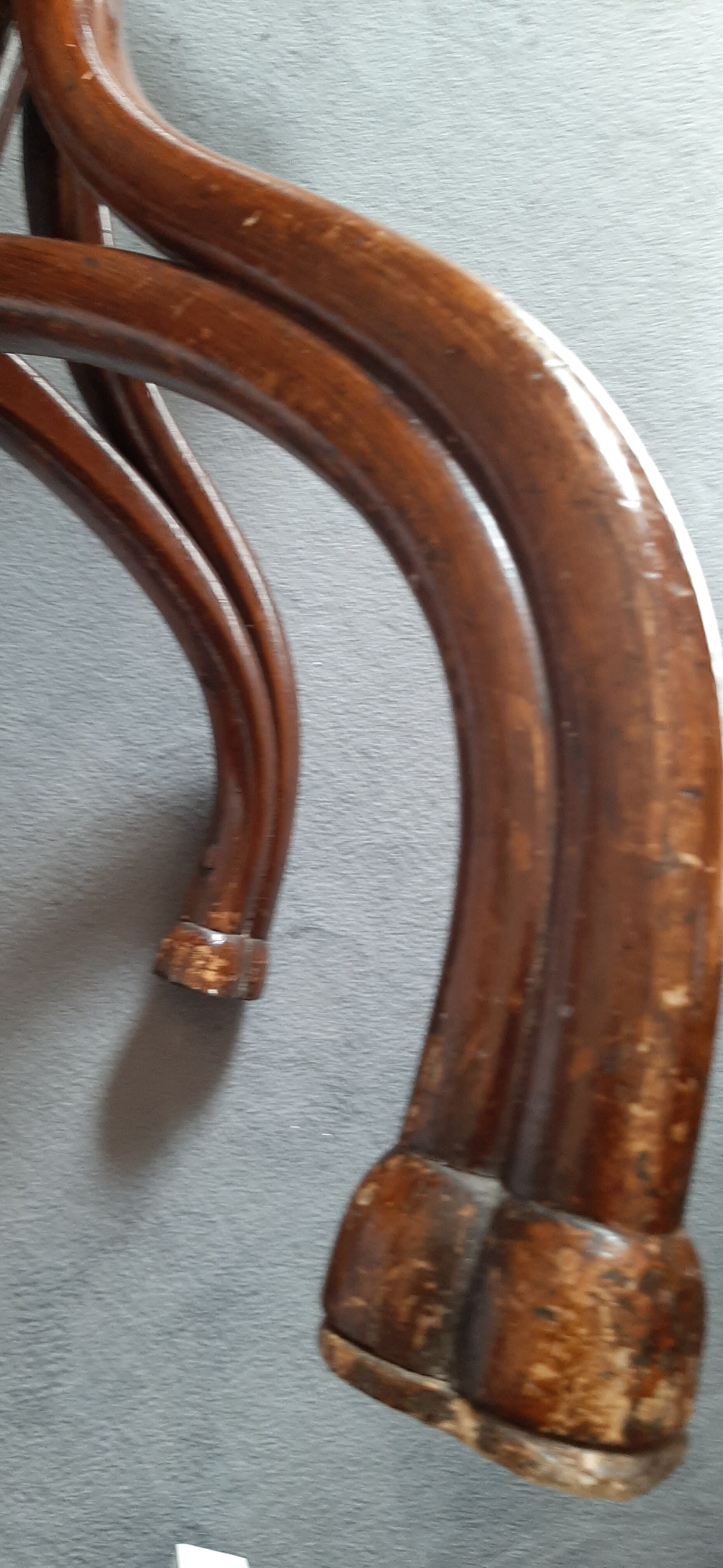 Porte-manteaux perroquet Thonet ancien