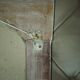 Carved white wood mirror 1990 decorative carved with opening shutters on a square mirror