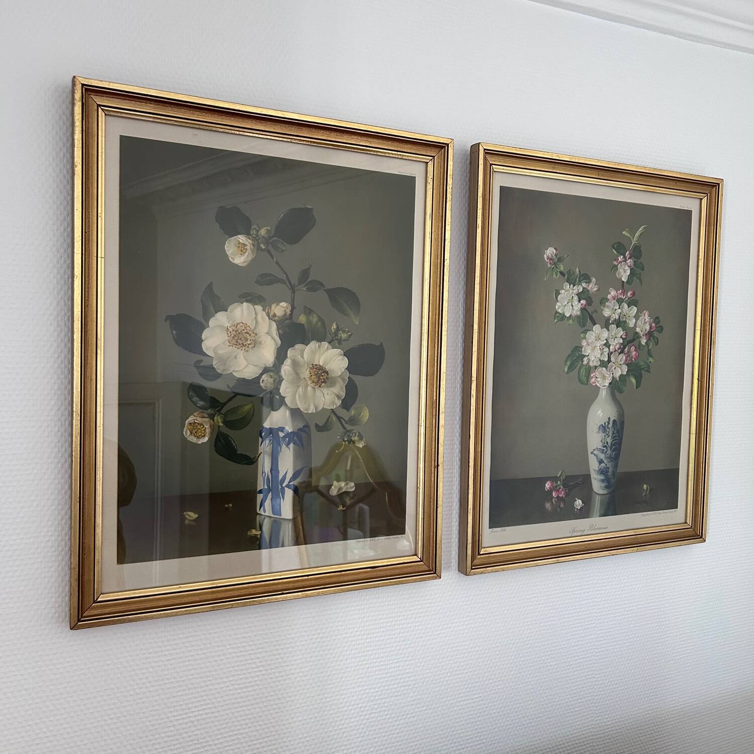 Reproductions florales de James Noble