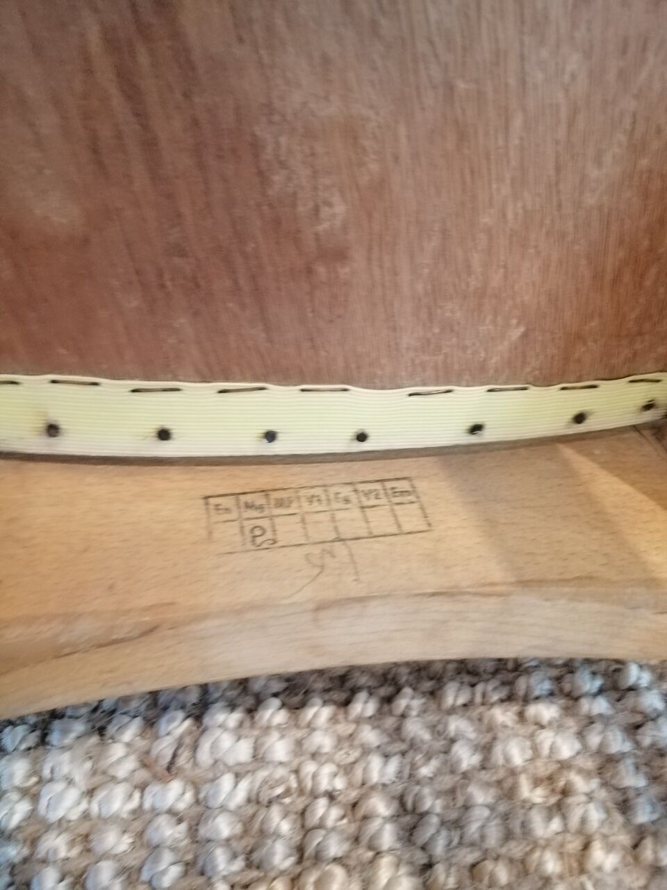 Vintage chairs from the 1950s "Stella"
