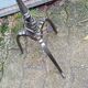 Vintage brass lamp 1960