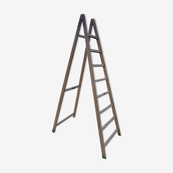 Old painter's ladder stepladder