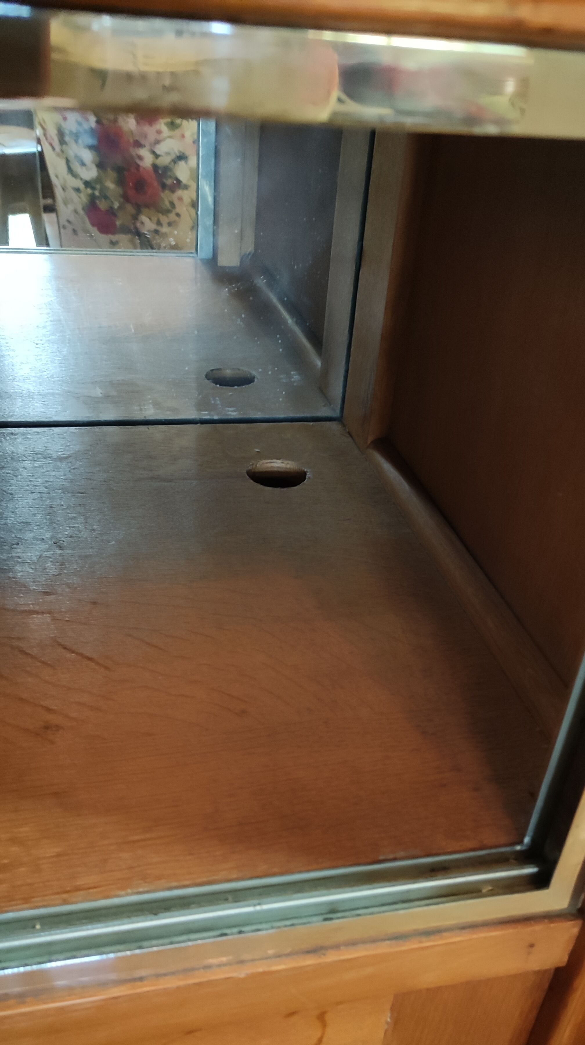 Showcase furniture 1950s