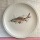 Fish set, 6 plates, sauce pot and saucer