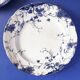 Set of 4 plates Empire Works Stoke on Trent series "Zephyr"