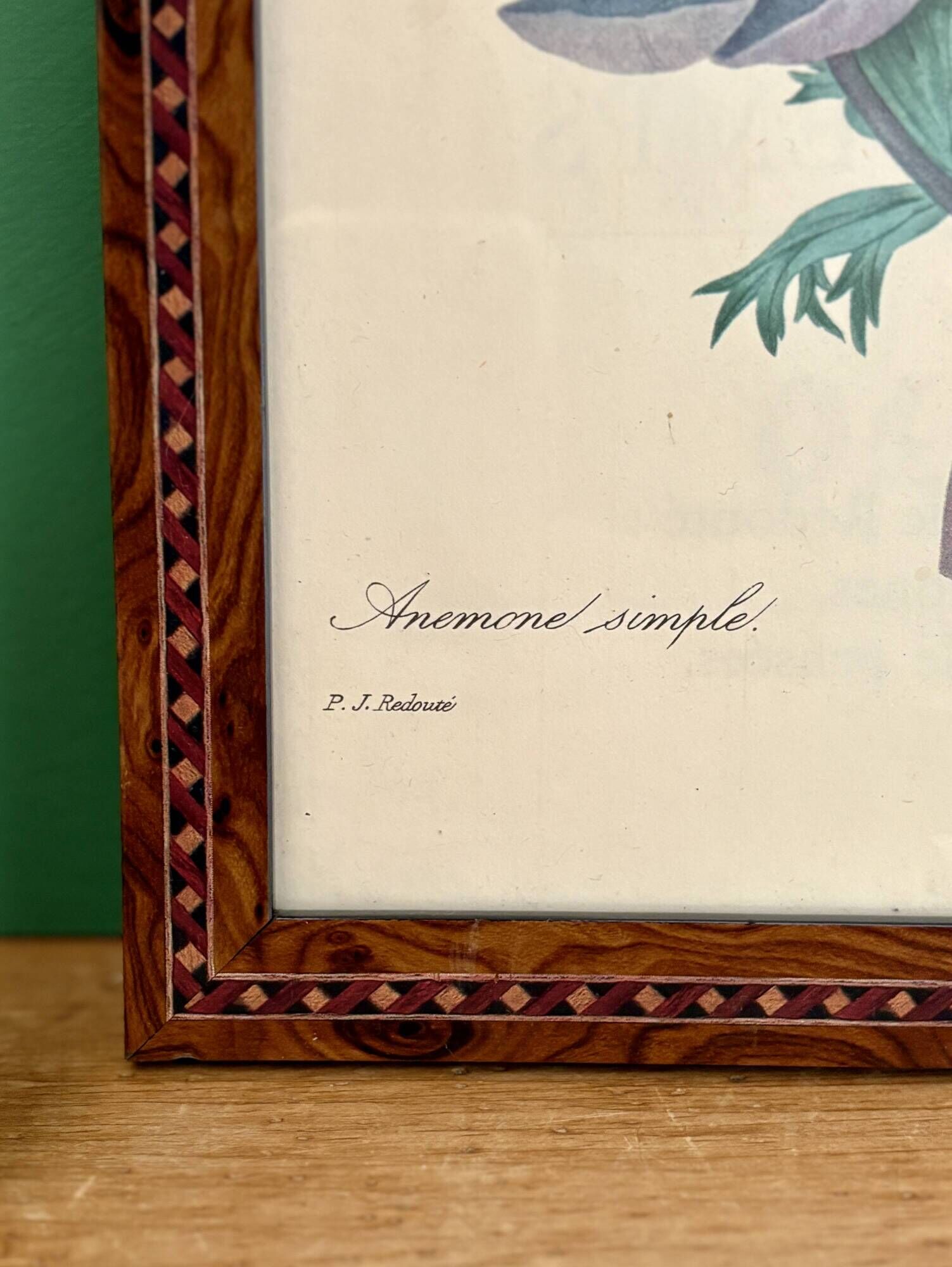 Vintage frame drawing of anemones by Redouté.
