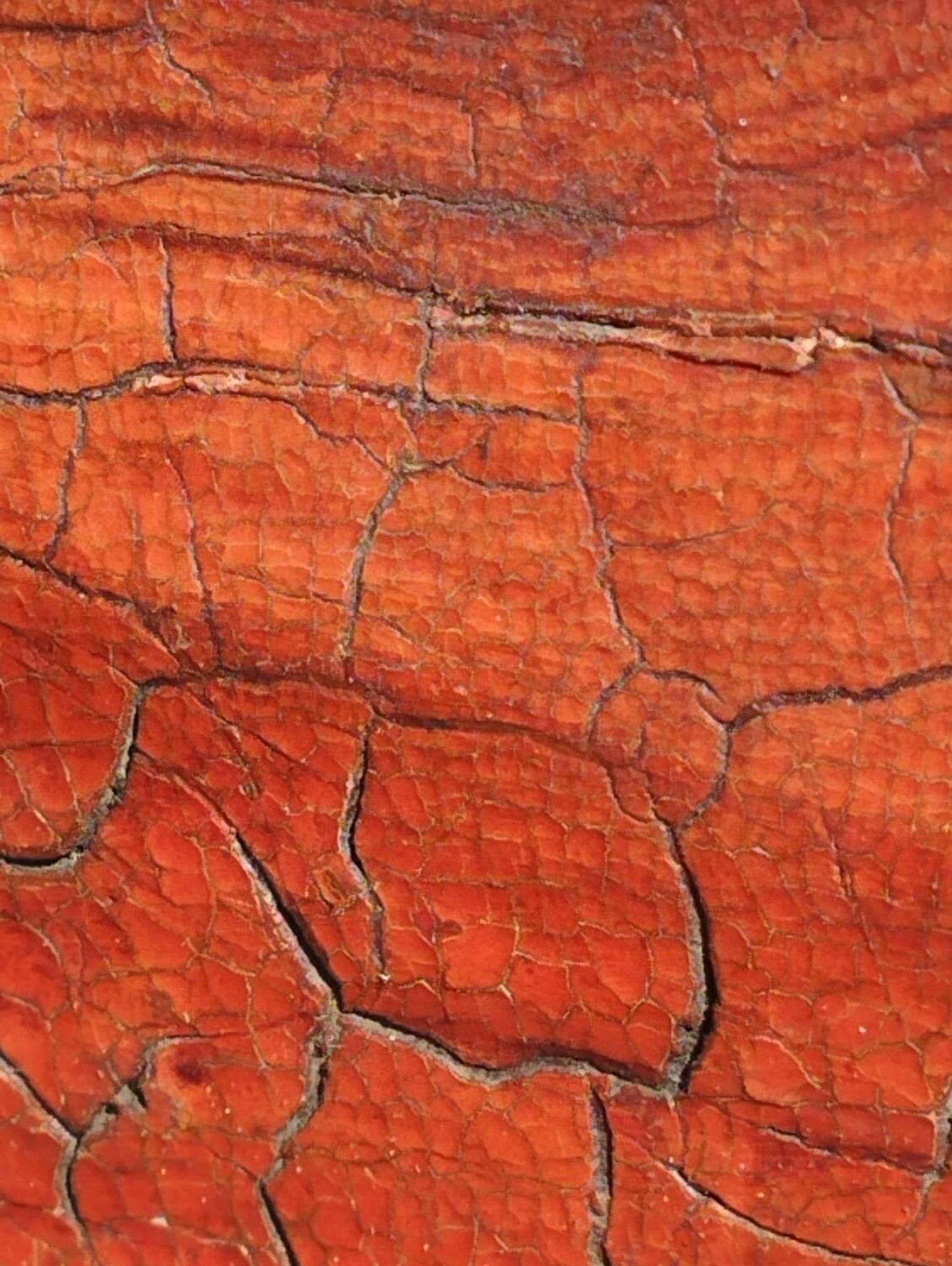 Trône polychrome