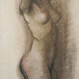 Encadré - Étude de vie d'une dame nue