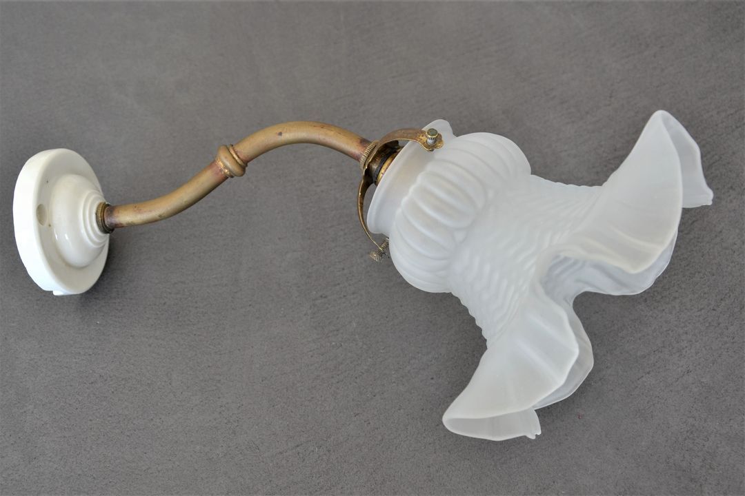 Vintage wall lamp, glass tulip lampshade, brass gooseneck support and blah porcelain