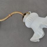 Vintage wall lamp, glass tulip lampshade, brass gooseneck support and blah porcelain