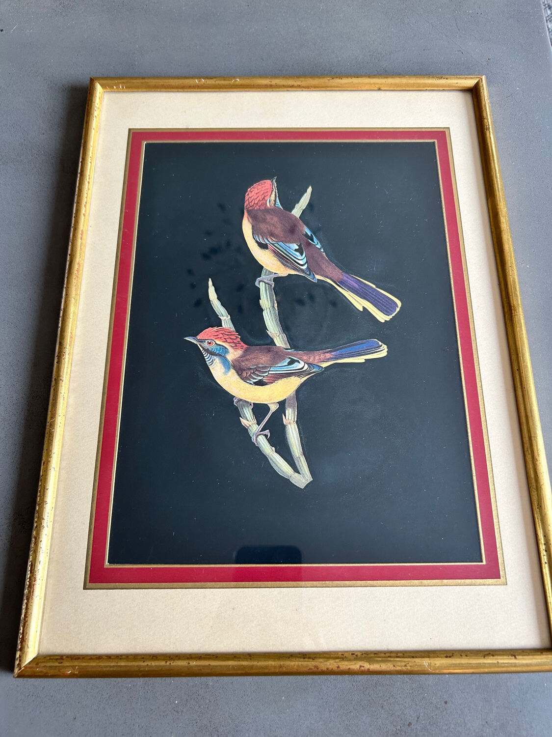 Set of 2 vintage lithographs