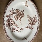 Old dish