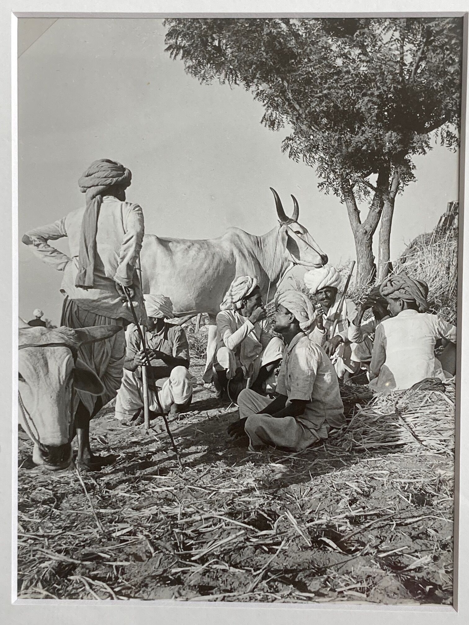 Original photograph by Suraj N Sharma: Chaksu Pilgrimage