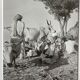 Original photograph by Suraj N Sharma: Chaksu Pilgrimage