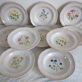 10 deep plates pierre motton for gien circa 1930