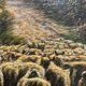 Painting HST "Landscape with Sheep" signed by Lucien Michon (born in 1887)