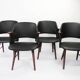 Pastoe FT30 chairs by Cees Braakman