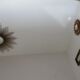 Golden 50-60's aluminium round mirror tray