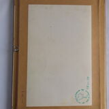 Butterfly Attacus Atlas framed