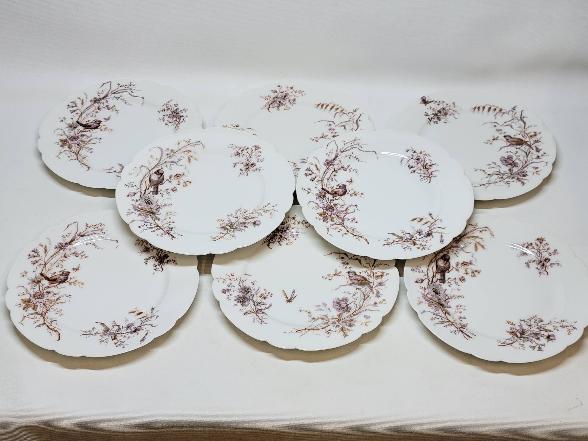 8 Superbes Assiettes Anciennes XIXème Décor Aux Oiseaux Sur Des Branches