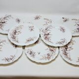 8 Superb Antique 19th Century Plates Decorated with Birds on Branches