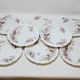 8 Superb Antique 19th Century Plates Decorated with Birds on Branches