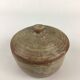 Sandstone salt box / pot of puisaye pierre lion