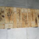 Coffee table Roger Capron