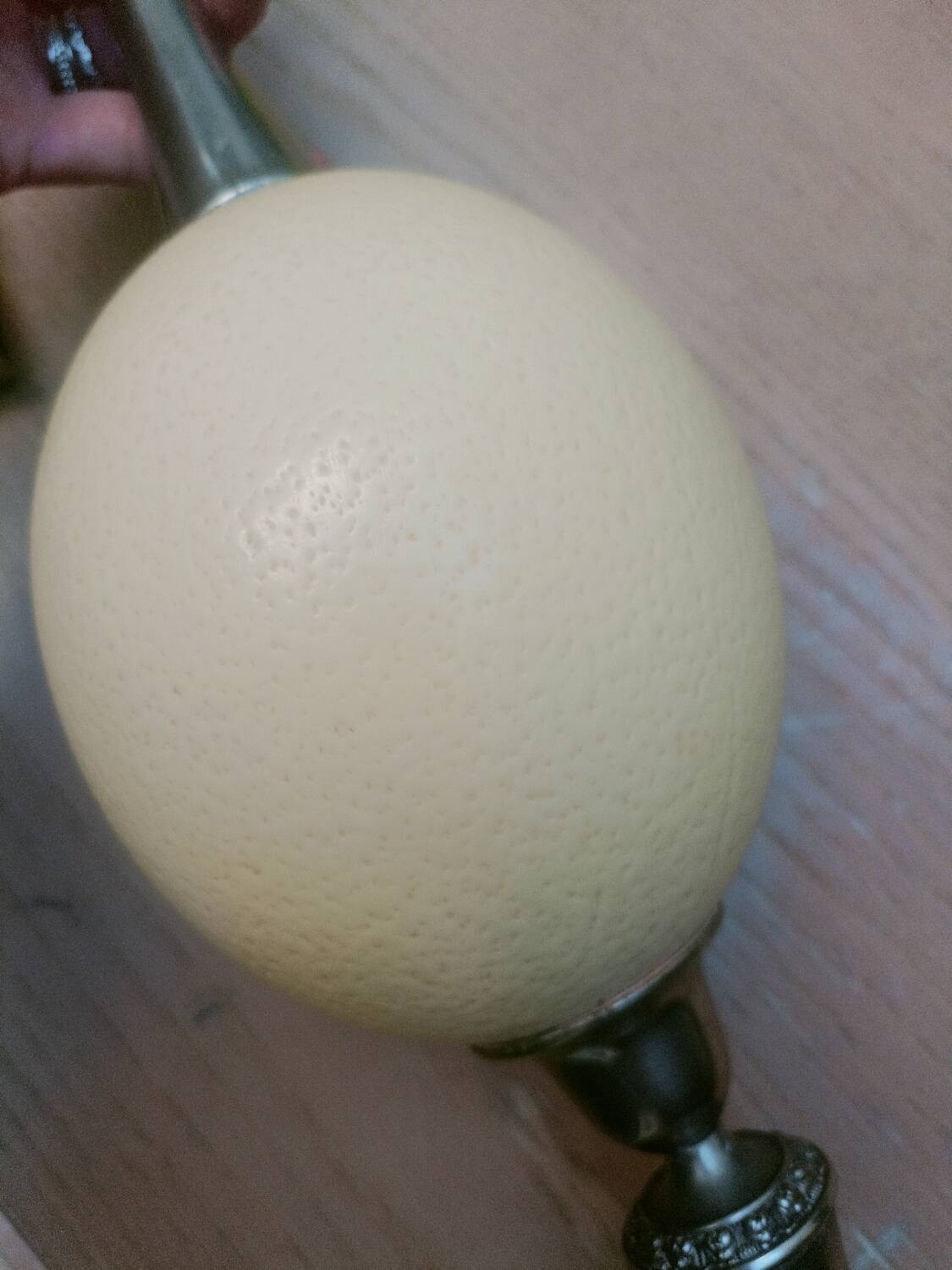 English lamp base, ostrich egg