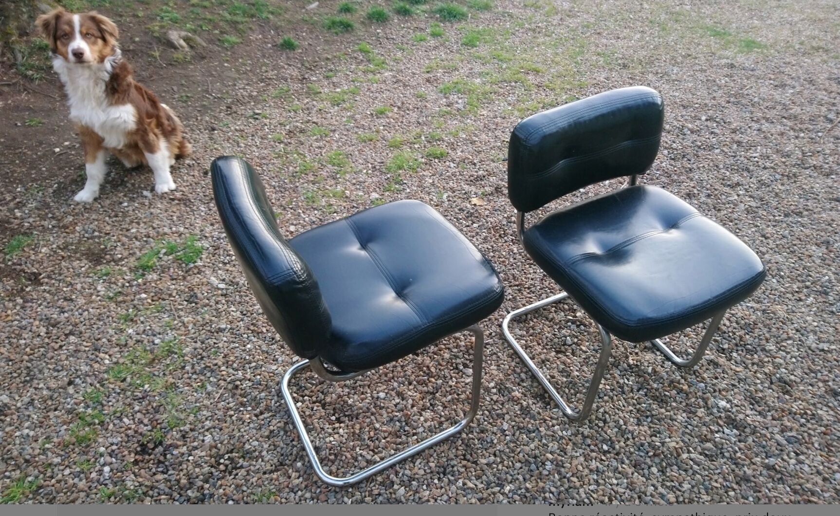 Pair of vintage armchairs 70 black