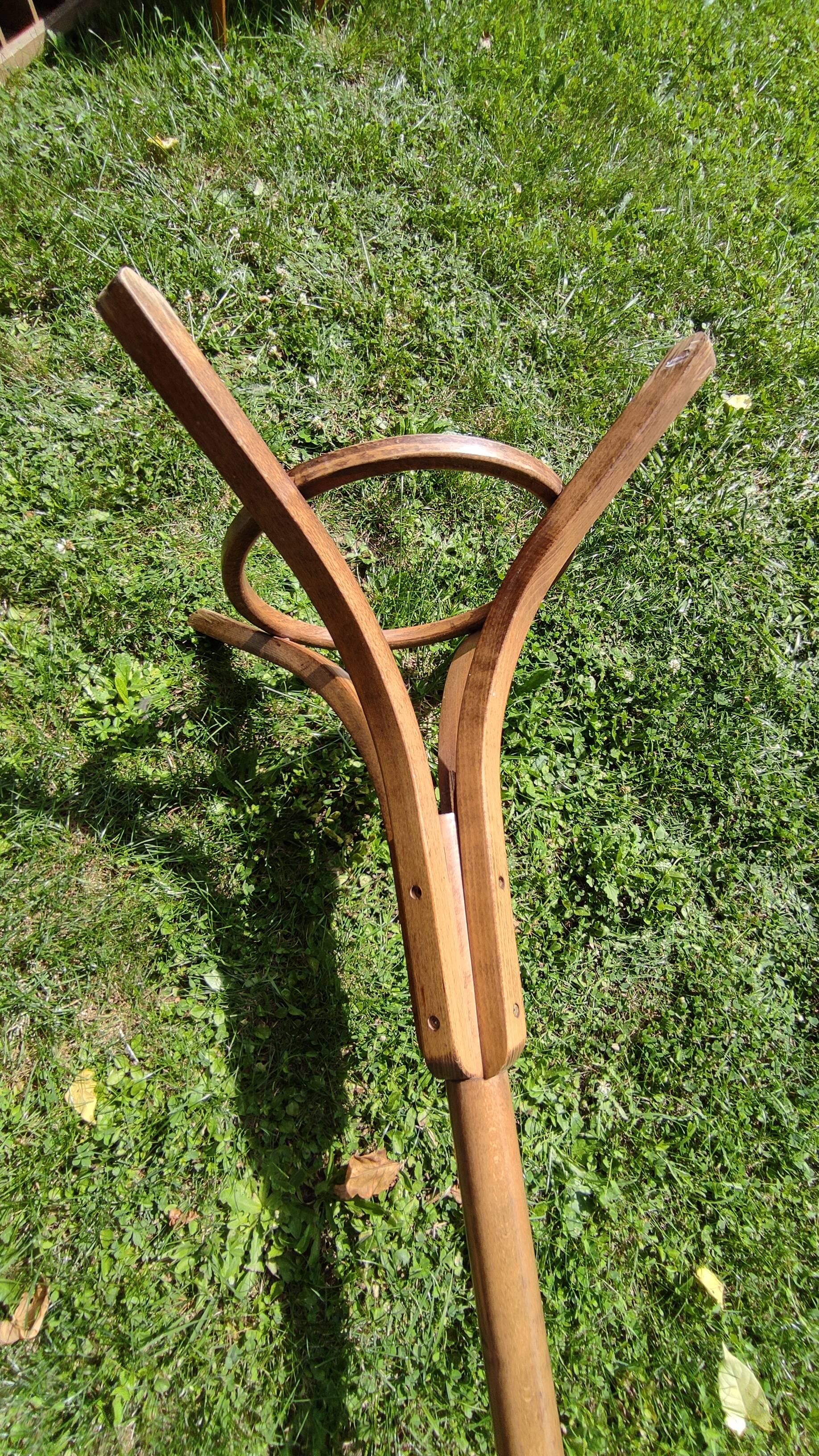 Baumann wooden parrot coat rack