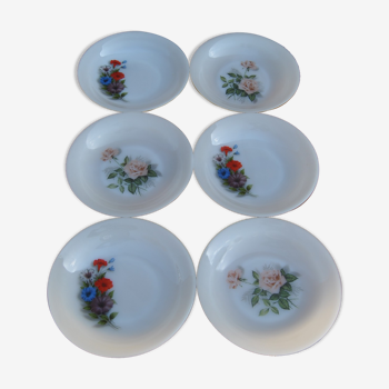 Set of 6 plates in arcopal 70