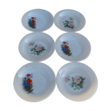 Set of 6 plates in arcopal 70