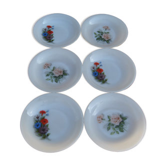 Set of 6 plates in arcopal 70