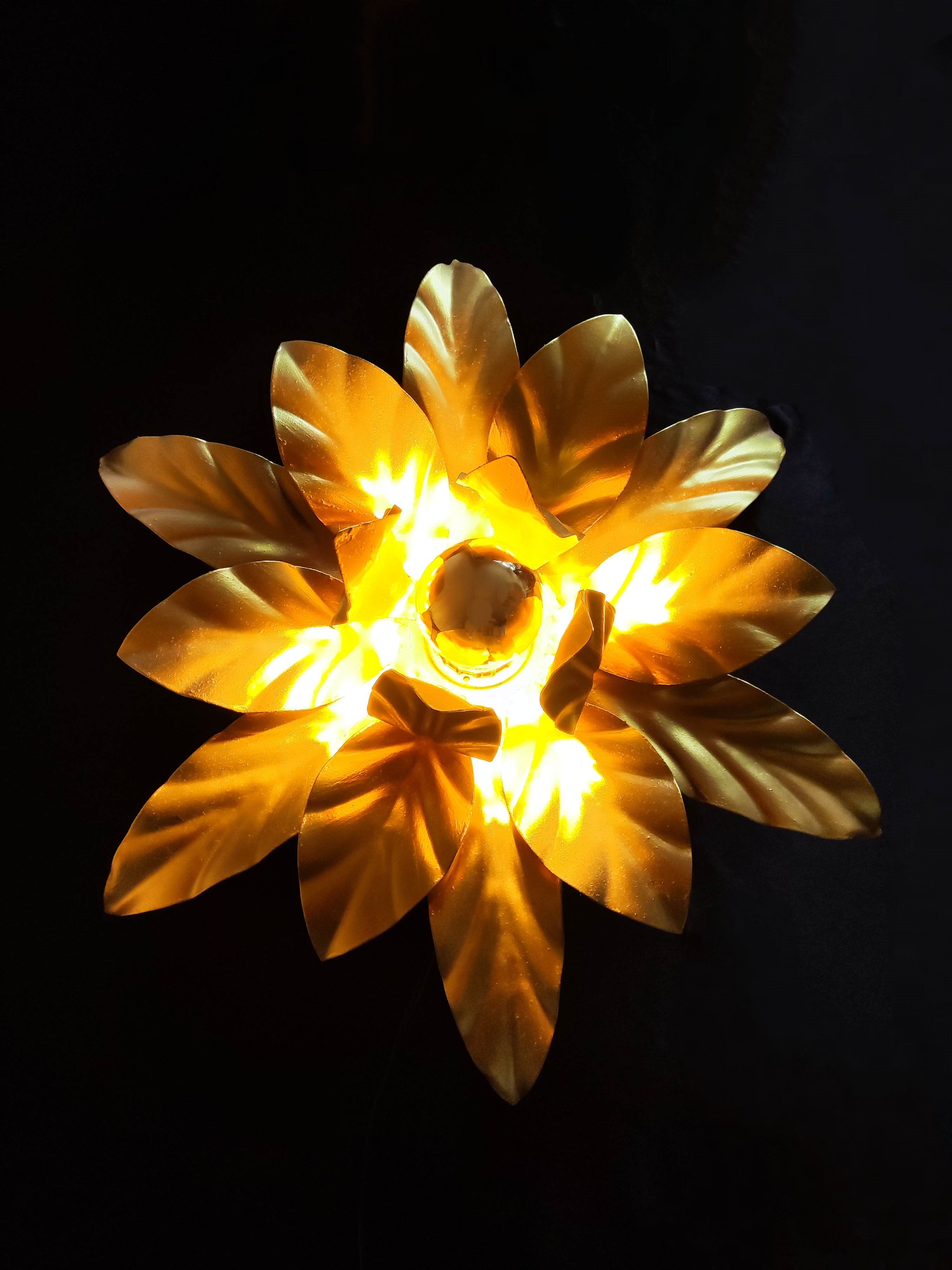 Wall lamp flower