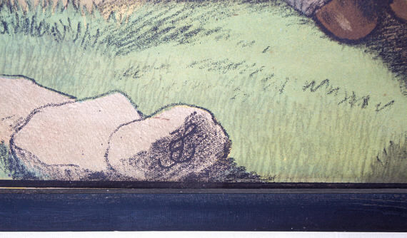 Educational poster, rhino, lithograph, Karl Jansky, Böhmen, 1897