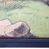 Affiche éducative, rhino, lithographie, Karl Jansky, Böhmen, 1897