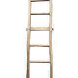Old tree trunk ladder